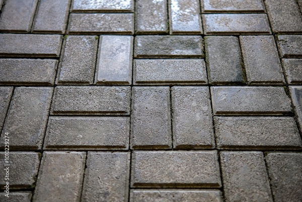 Obraz A textured close-up background of a wet brick pavement with a geometric, interlocking pattern, highlighting the rough surface and subtle reflections of light