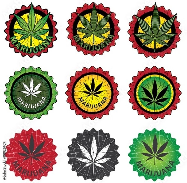 Obraz marijuana cannabis leaf vector illustration