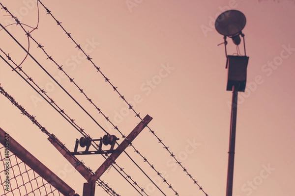 Obraz wire background