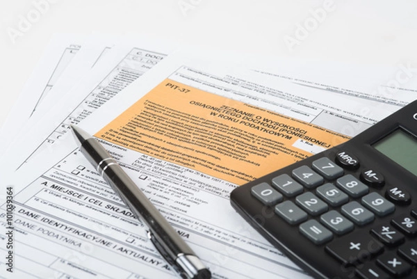 Obraz Tax declaration pit