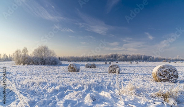 Obraz Snow Cobled Hayfield