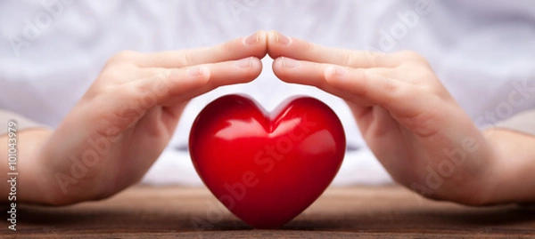 Obraz hands protect a heart