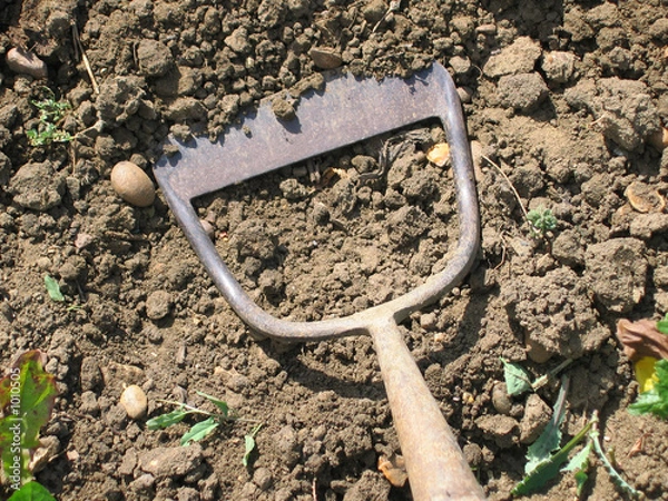 Fototapeta dutch hoe