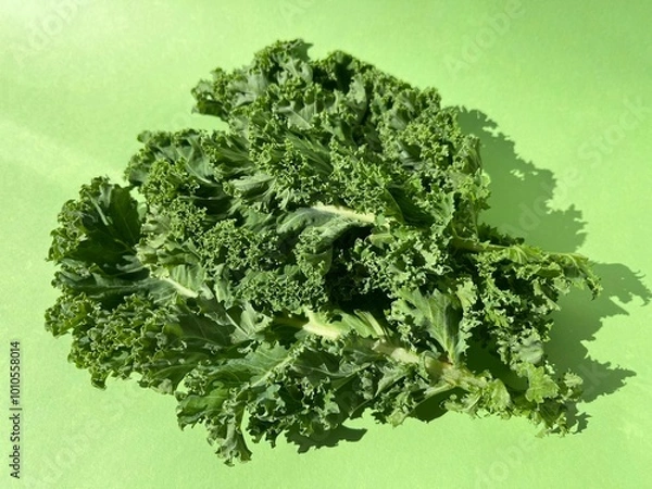 Fototapeta Fresh curly kale leaves on a green background.  Arranged in a loose pile with shadow. Creative layout made of kale closeup. Food concept.