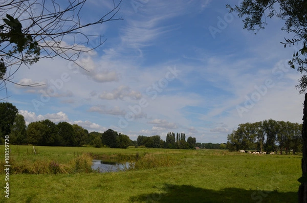 Fototapeta River flowing through meadow in rural Flanders