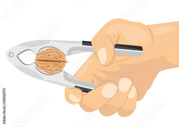 Fototapeta hand using a nutcracker to crack a nut