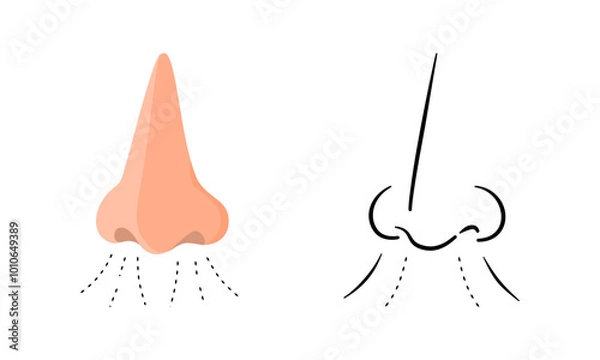 Fototapeta Isolated human nose in flat design and outline drawing style.