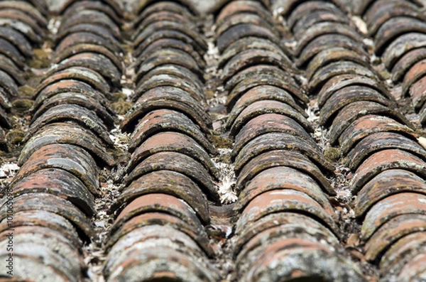 Obraz Tejado de tejas