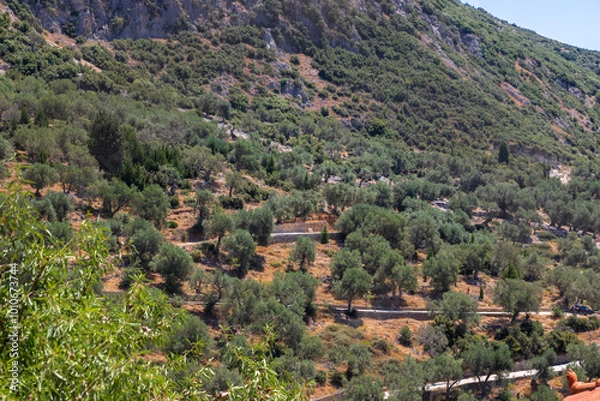 Fototapeta Hidden in the hills behind the coast, between the popular Porto Palermo and Borsh Beaches, Upper Qeparo is a hidden gem on the Albanian Riviera. Upper Qeparo is a place to see traditional architecture
