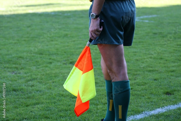 Fototapeta arbitre