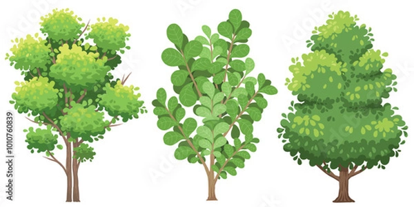Obraz Cartoon tree vector set, collection of trees, natural tree plant design element