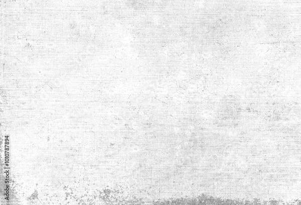 Fototapeta Canvas primed texture effect. D