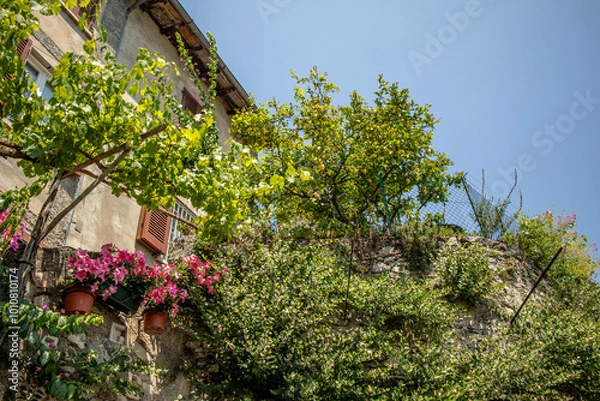 Obraz Limone sul Garda