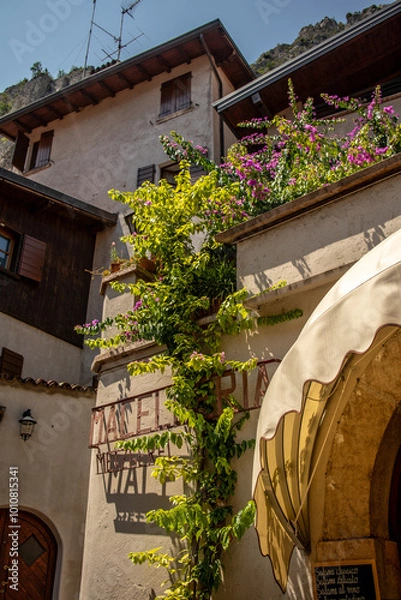 Obraz Limone sul Garda