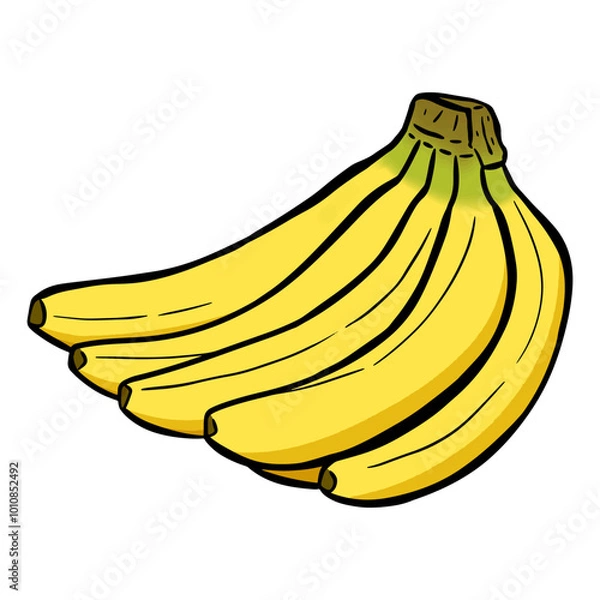 Fototapeta Yellow banana illustration, isolated on white background. Perfect for food related graphics or educational materials. Vector image, banana illustration with outline.