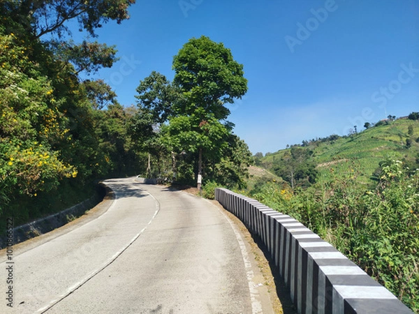 Obraz road with mountain background. rural road in mountain area with many trees which is cool and fresh