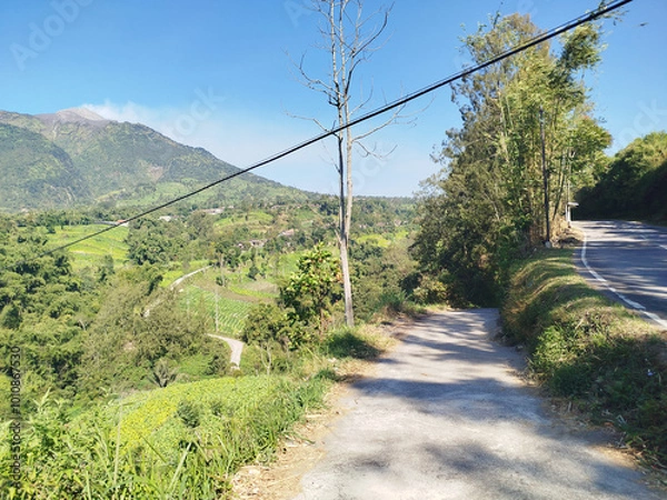 Obraz road with mountain background. rural road in mountain area with many trees which is cool and fresh