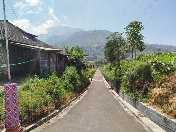 Obraz road with mountain background. rural road in mountain area with many trees which is cool and fresh