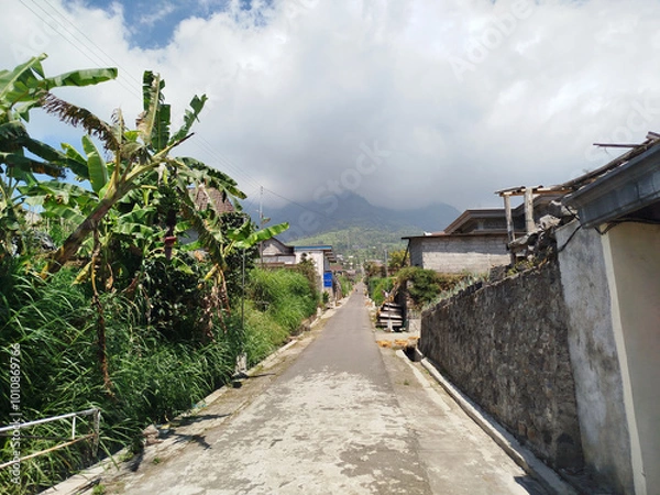 Obraz road with mountain background. rural road in mountain area with many trees which is cool and fresh