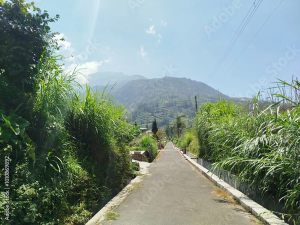 Obraz road with mountain background. rural road in mountain area with many trees which is cool and fresh