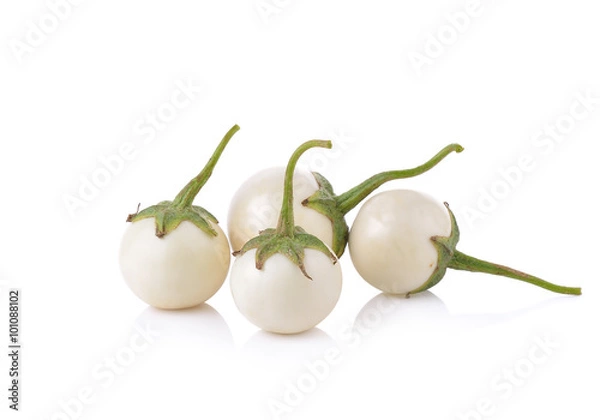 Obraz white eggplant  on white background