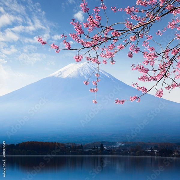 Obraz Mt. Fuji i Cherry Blossom w Lake Kawaguchiko