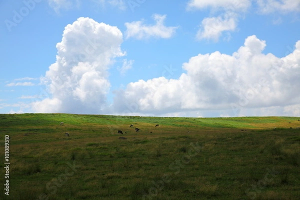 Fototapeta 美ヶ原高原