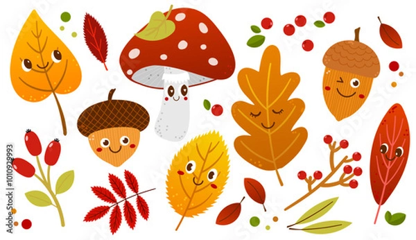 Fototapeta Cute vector set autumn elements. Fall leaves, mushrooms, acorns, berries. Harvest time. Autumn floral stickers. Colored trendy illustration.