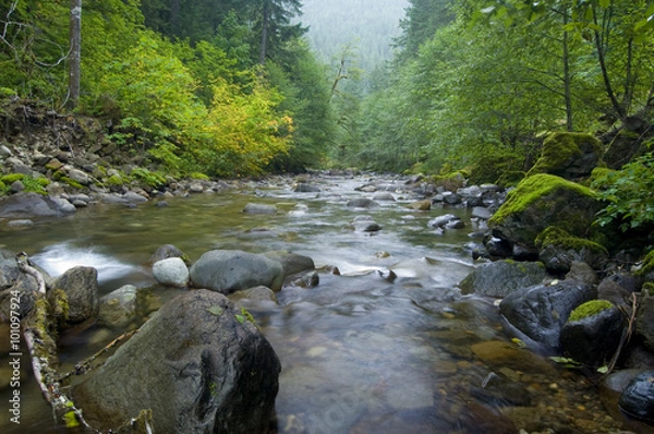 Obraz Skate Creek