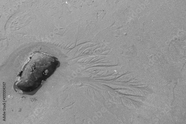 Obraz Ripple texture on sandy beach