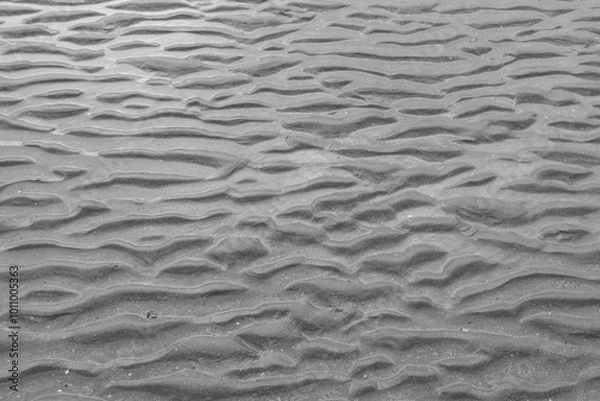 Fototapeta Ripple texture on sandy beach