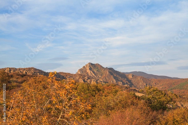 Fototapeta a panoramic view of autumn landscape with mountain hills surrounded by trees with yellow and red foliage at birtvisi canyon in georgia at a sunset light