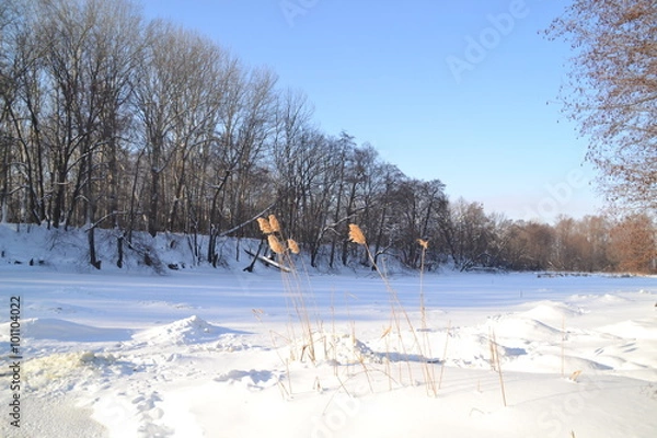 Fototapeta Зимний лес