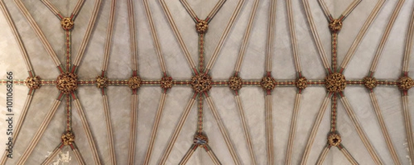 Fototapeta Ely, cathedral, plaster, ceiling, cambridgeshire