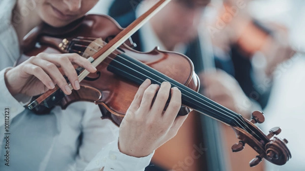 Fototapeta Talented violinist playing with orchestra