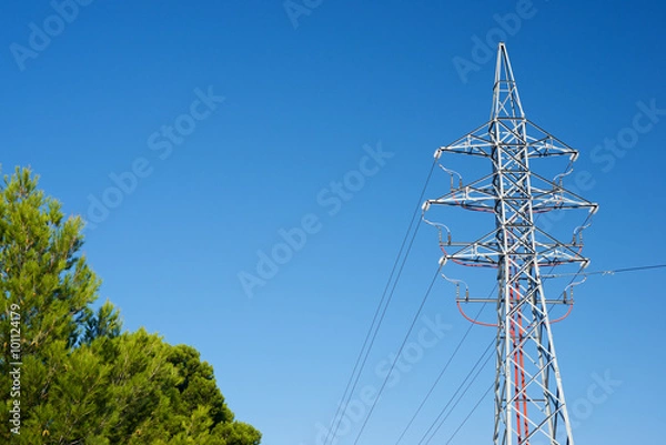 Fototapeta Power line