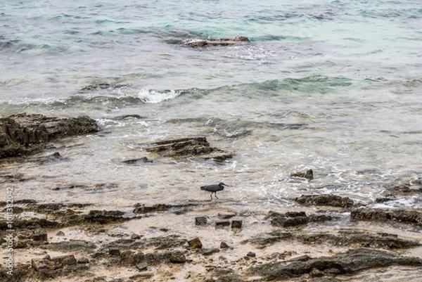 Fototapeta waves on the beach