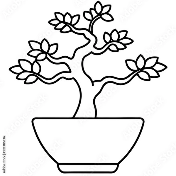 Fototapeta  bonsai tree