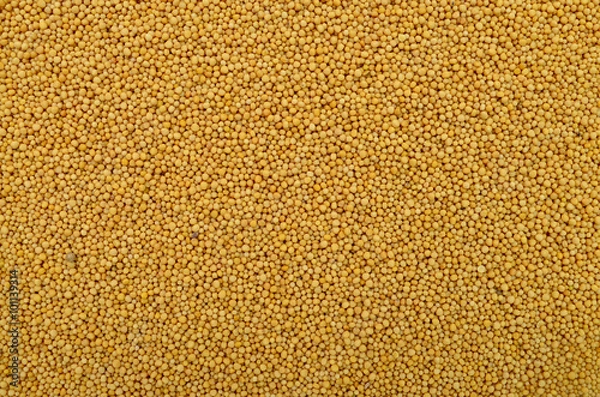 Obraz mustard seeds texture