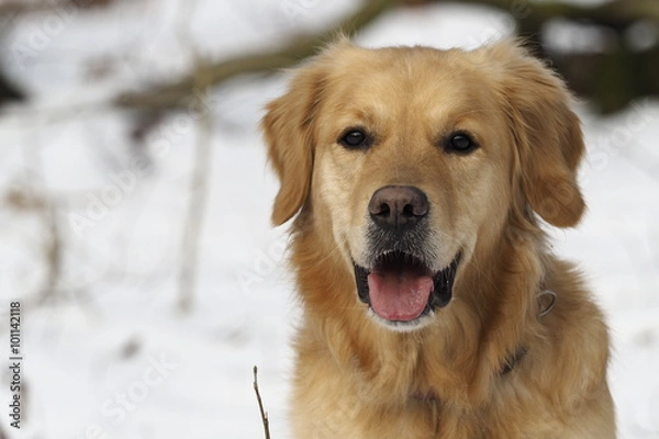 Obraz OLYMPUS DIGITAL CAMERA