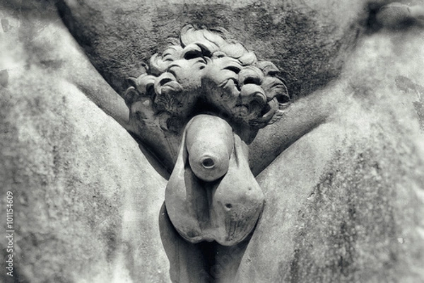 Obraz Vintage obraz penisa