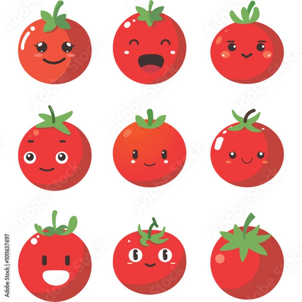 Obraz Vector illustration of a red tomato isolated on white , Tomato vector. Tomato on white background. Tomato vector in cartoon style