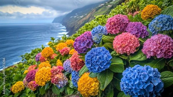 Fototapeta Vibrant hydrangea flowers bloom along the coastline with ocean waves crashing in the background