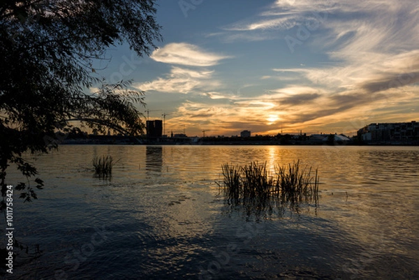 Obraz Golden sunset over calm river, framed by trees and reeds