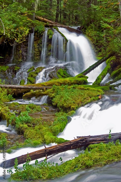 Obraz Big Creek Falls, Washington State