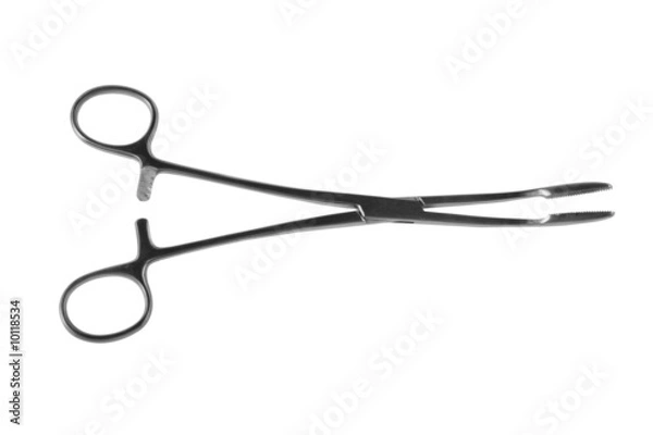 Obraz tissue forceps