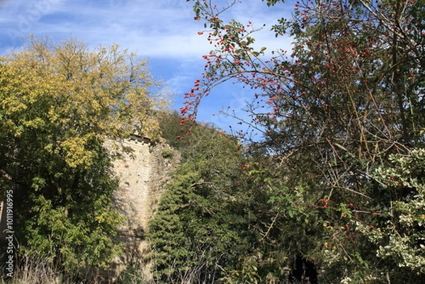 Obraz En pleine broussaille