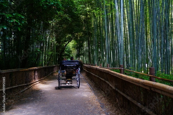 Obraz Bamboo Forest, Arashiyama Bamboo Grove or Sagano Bamboo Forest