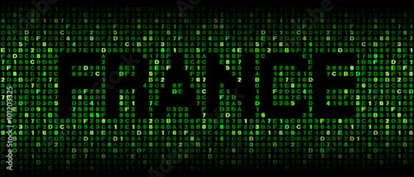 Obraz France text on hex code illustration