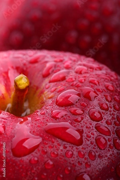 Obraz Red apple macro
